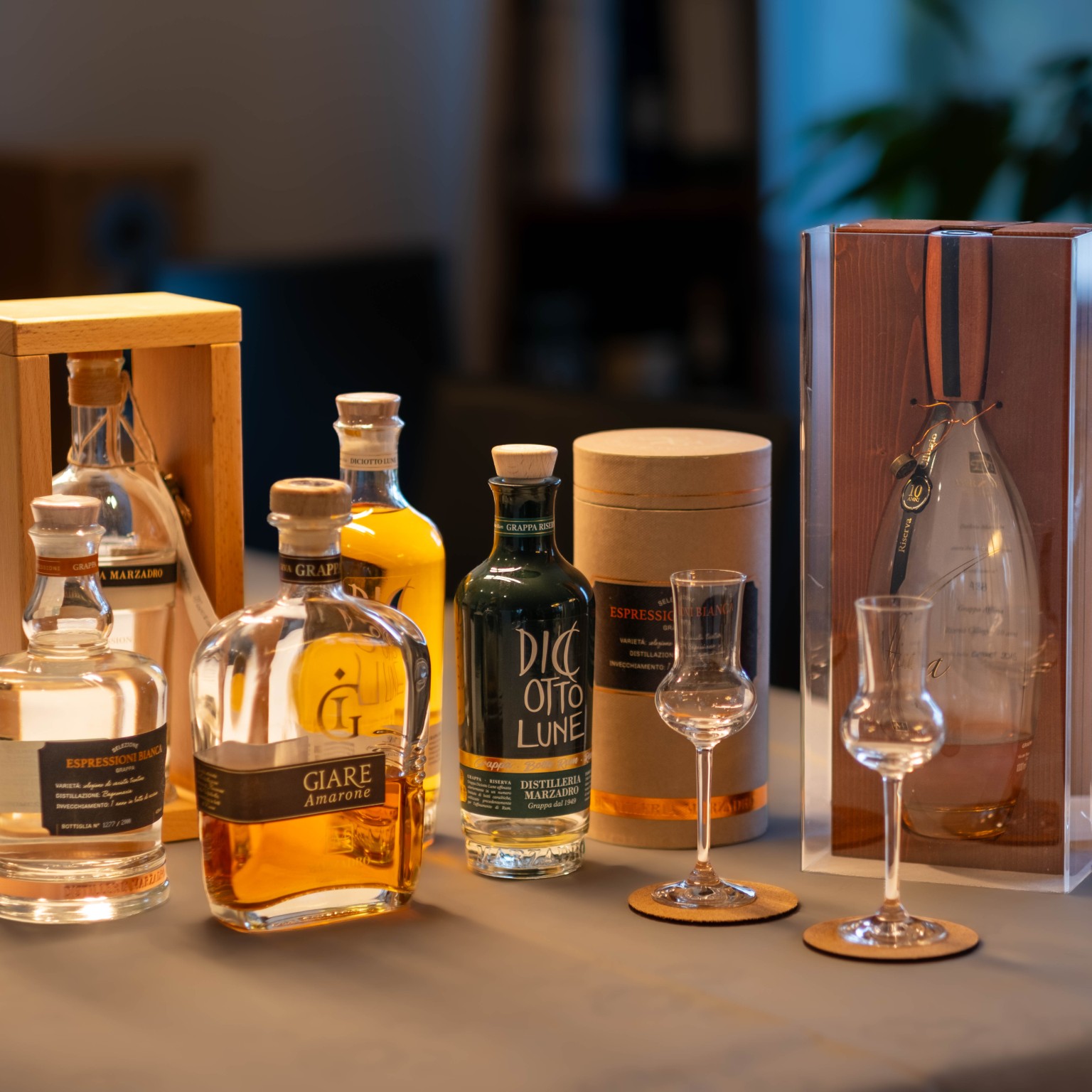 Exklusives Grappa-Tasting